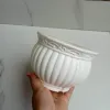 5 Inch White Round Plastic Plant Pot