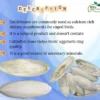 Benefits Cuttlefish Bone for Birds