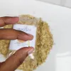 Best Quality Oat Seed Bird Food