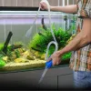 Cleaning Aquarium With Siphon Pipe