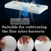 Filter Sponge Cultivating Nitro Bacteria