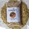 Sauk Se Premium Oat Seed Bird Food