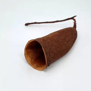 https://images.saukse.com/images/300/Brazil-Seru-Trumpet-Pod-300x300.webp