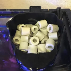 Ceramic rings sitting inside of aquarium filter