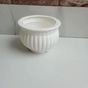 https://images.saukse.com/images/300/Small-White-Round-Plastic-Flower-Pot-300x300.webp