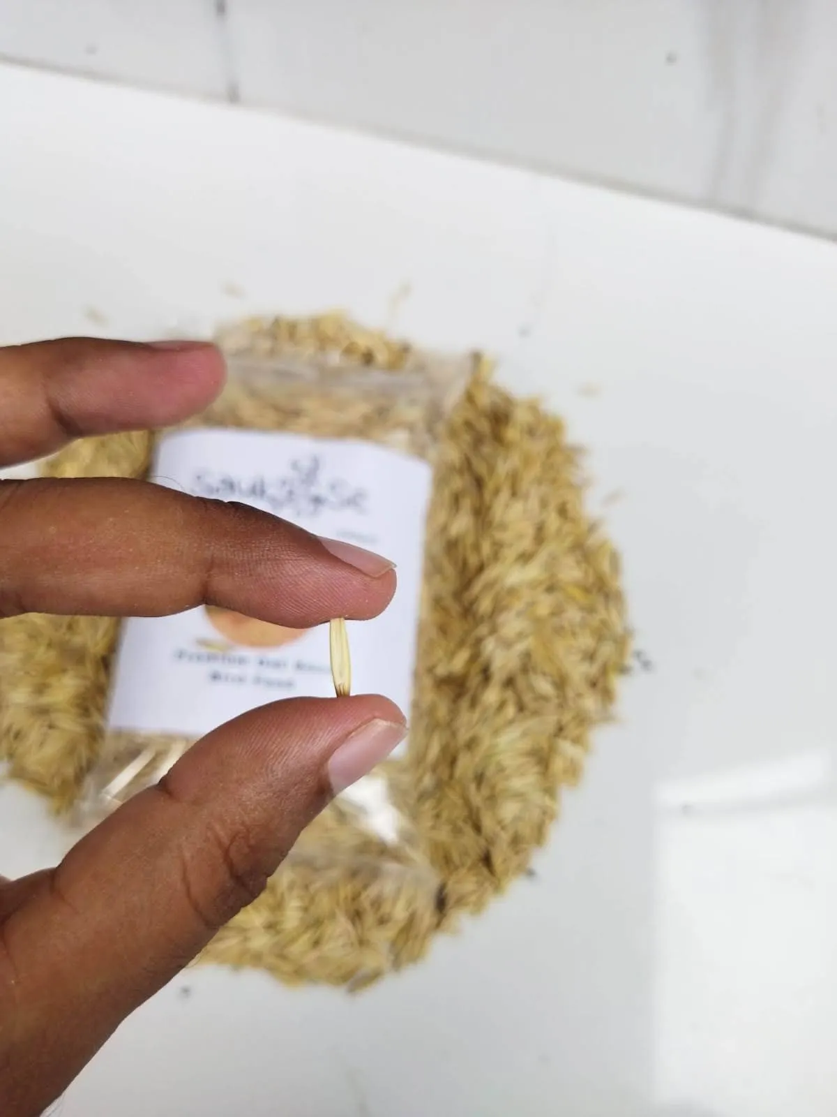 Best Quality Oat Seed Bird Food