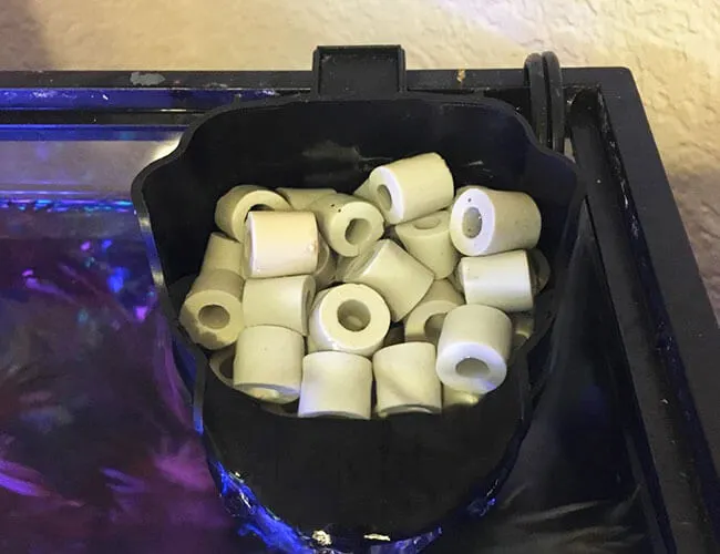 Ceramic rings sitting inside of aquarium filter