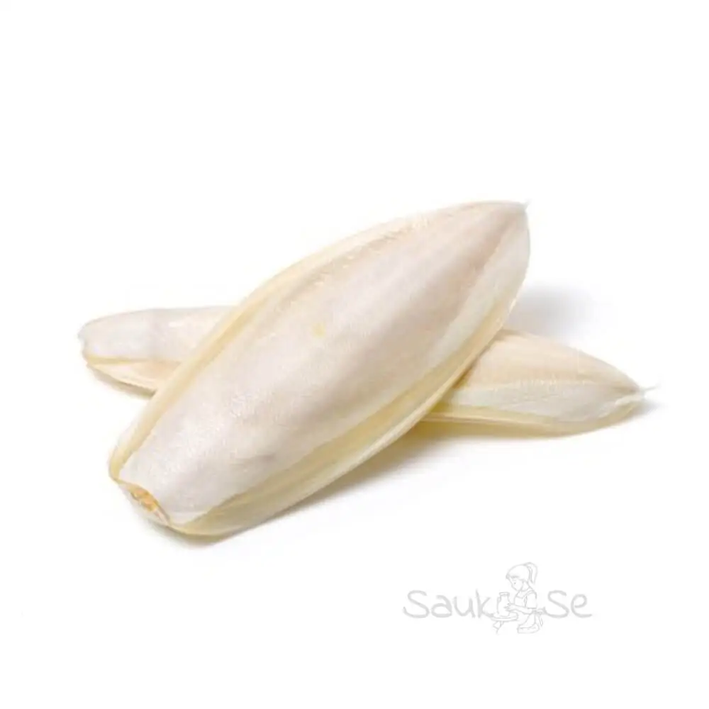 Cuttlefish Bone Calcium for Birds