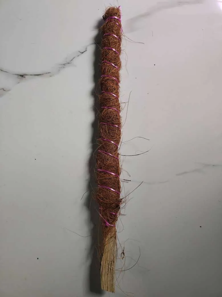 Gardening Moss Stick 1.5 Feet Long