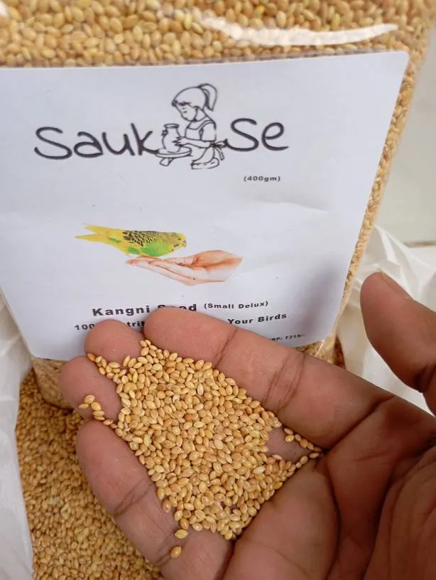 Natural Kangni Seed For Birds - Premium Bird Feed For Healthy And Happy Birds