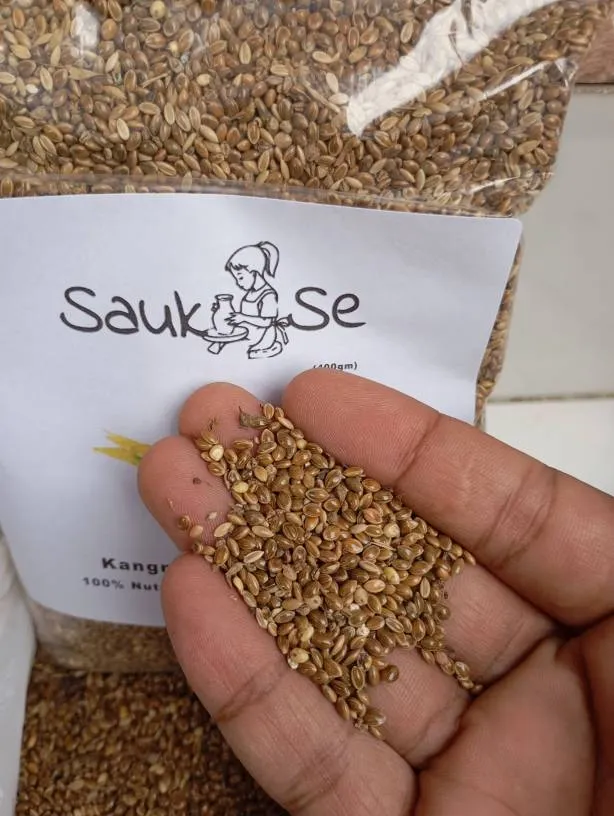 Sauk Se Kangni Seed Andhra Kagni - 400g Nourishing Bird Food For A Vibrant Life