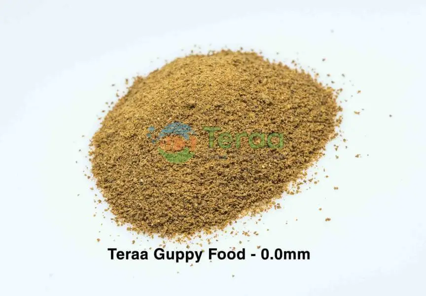 Teraa Guppy Fish Food 20gm Palet Size